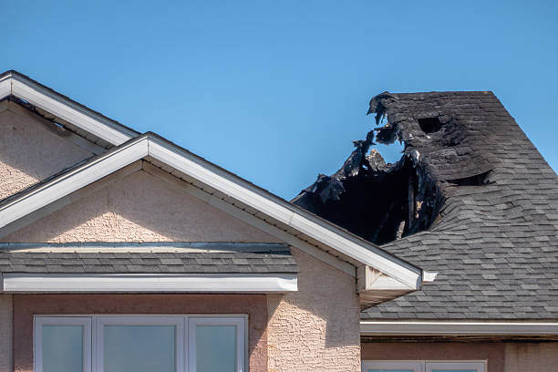 Top rated local Fire Damage Removal specialists in Leander, TX